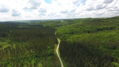 Drohnenflug-über-Einen-Waldweg.-Standort-Verdun,-Frankreich.